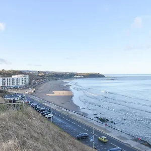 Seagull Scarborough